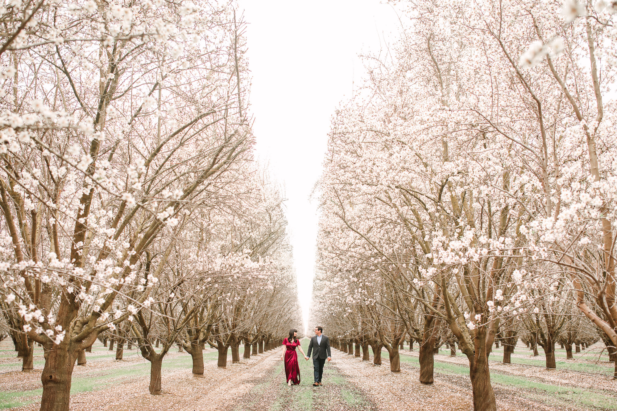 Couple in blooming almond orchard by Mary Costa Photography