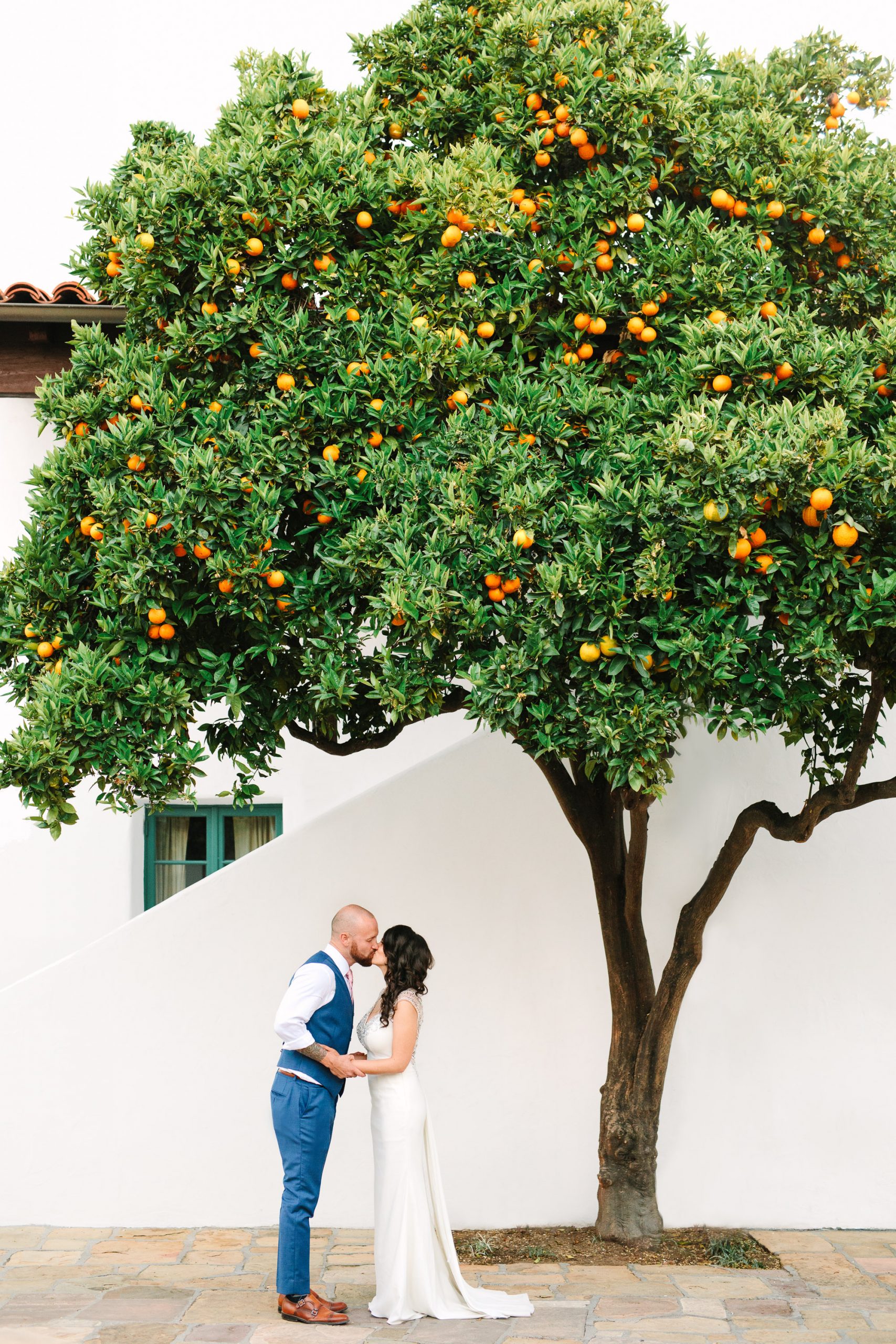 Couple kissing by orange tree by Mary Costa Photography