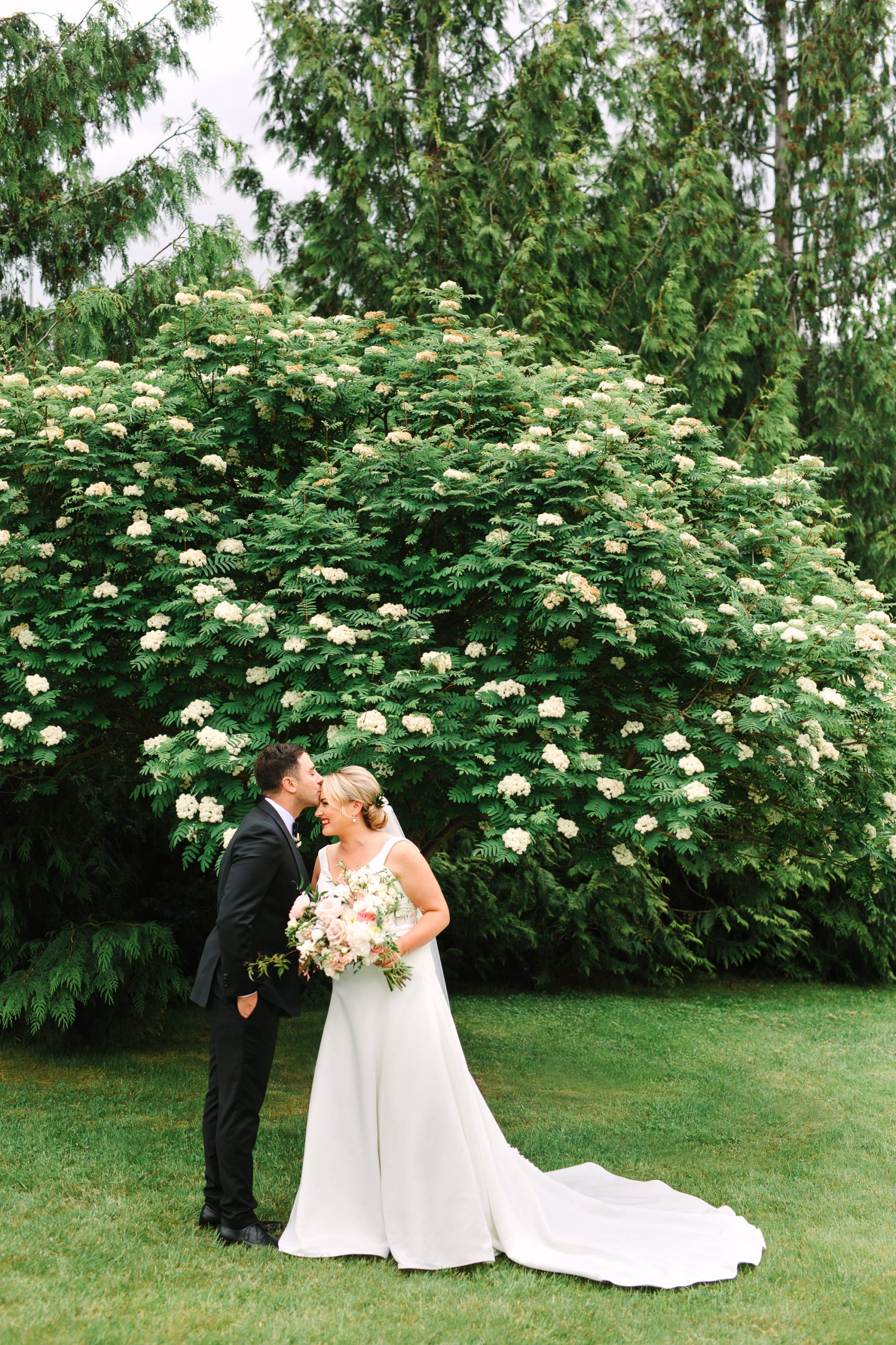 Couple kissing by flowering tree at Millbrook Resort New Zealand Indian Fusion wedding at Fig House Los Angeles by Mary Costa Photography