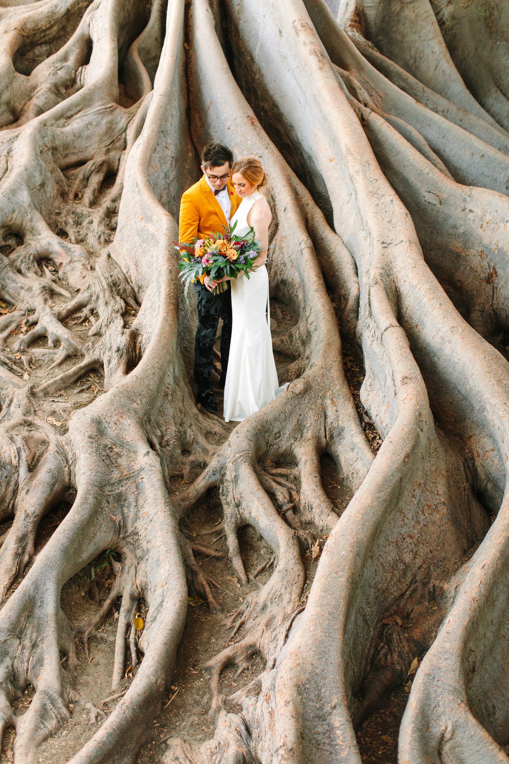Bride and groom in Fig Tree roots - www.marycostaweddings.com