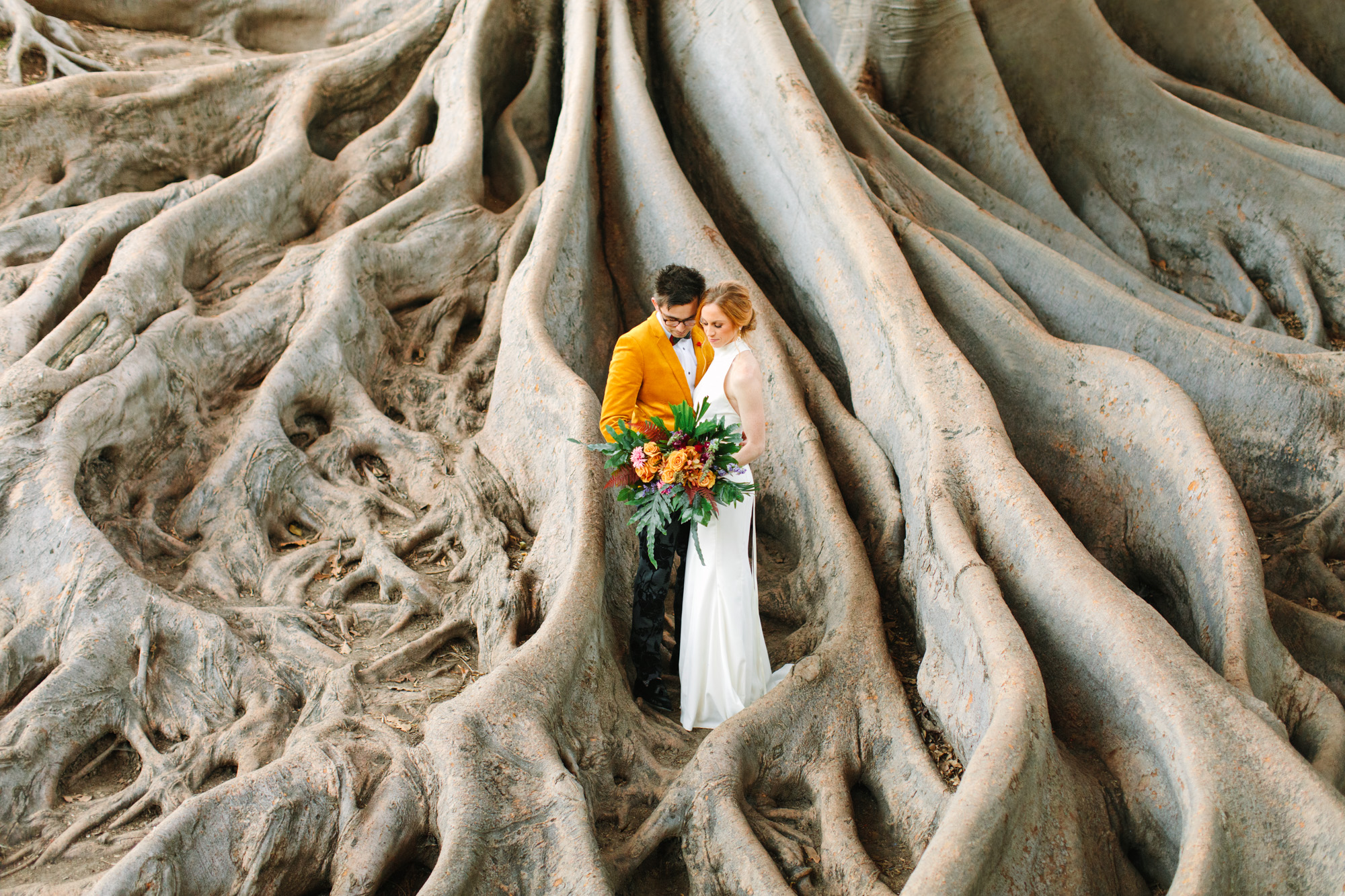 Couple snuggling in fig tree roots - www.marycostaweddings.com
