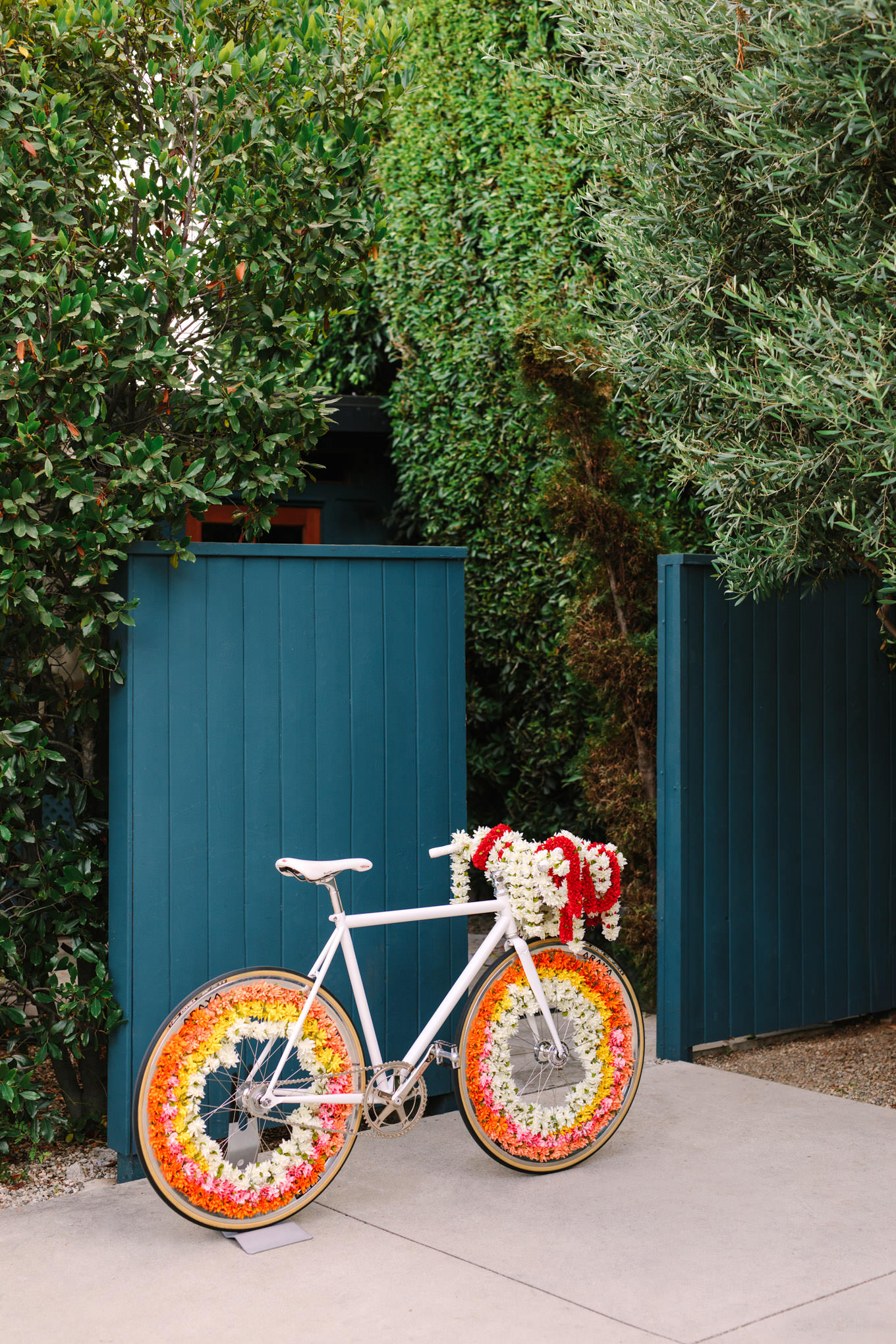 Flower Baraat bicycle. Two Disney artists create a unique and colorful Indian Fusion wedding at The Fig House Los Angeles, featured on Green Wedding Shoes. | Colorful and elevated wedding inspiration for fun-loving couples in Southern California | #indianwedding #indianfusionwedding #thefighouse #losangeleswedding   Source: Mary Costa Photography | Los Angeles