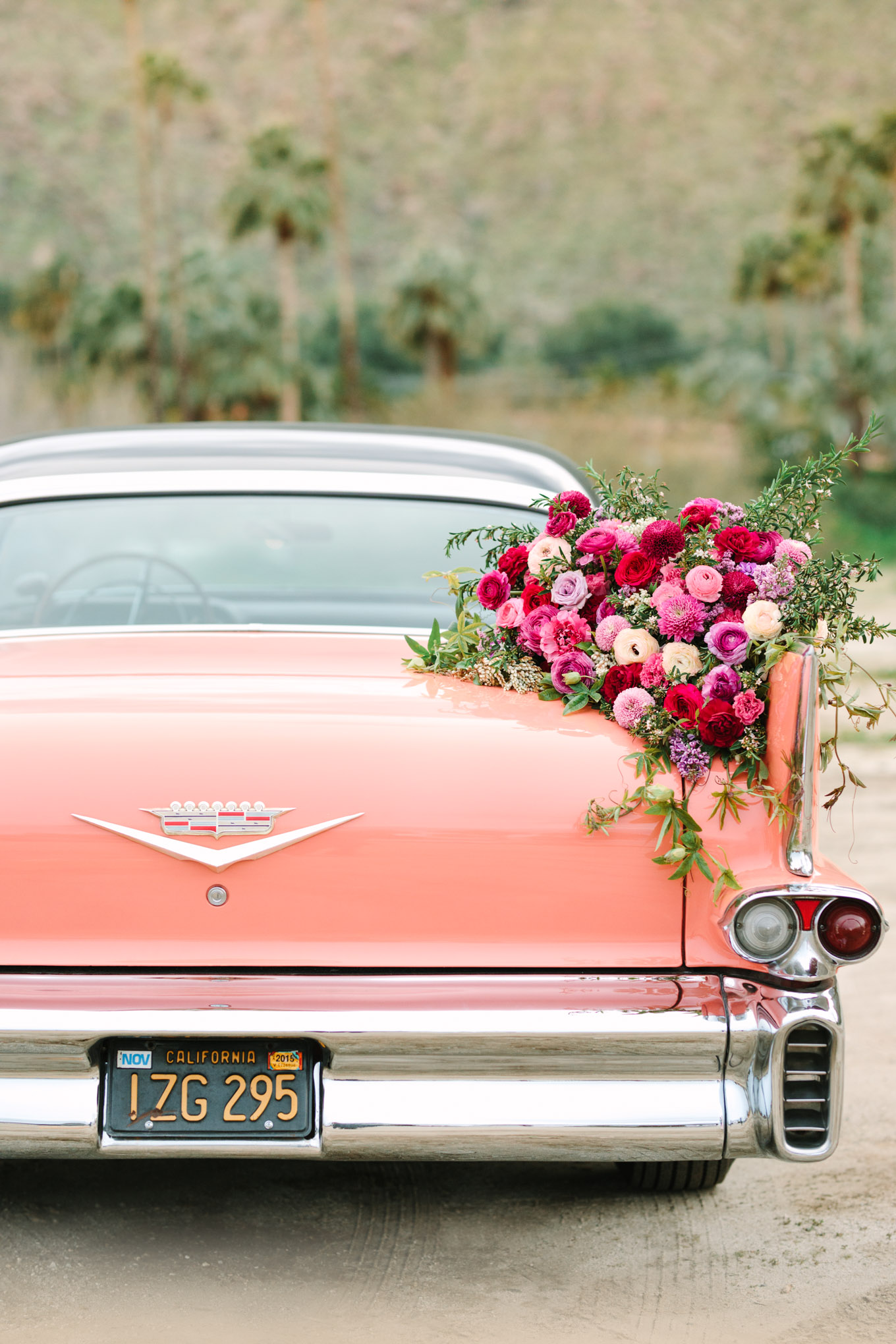 Flower detail on back of coral classic car. Modern vintage-inspired Palm Springs engagement session with a 1960s pink Cadillac, retro clothing, and flowers by Shindig Chic. | Colorful and elevated wedding inspiration for fun-loving couples in Southern California | #engagementsession #PalmSpringsengagement #vintageweddingdress #floralcar #pinkcar   Source: Mary Costa Photography | Los Angeles 