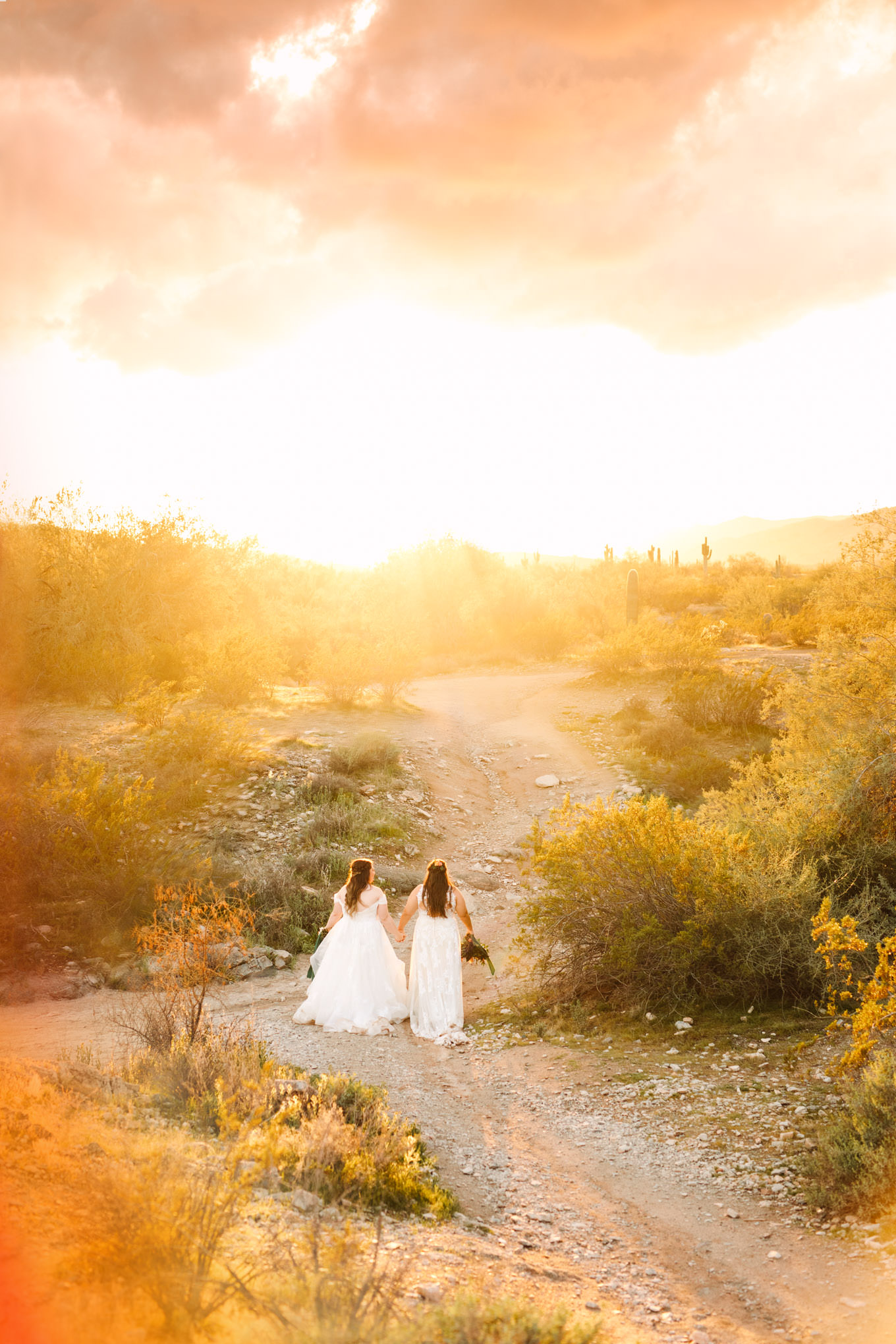 Two brides walking in Arizona desert | Engagement, elopement, and wedding photography roundup of Mary Costa’s favorite images from 2020 | Colorful and elevated photography for fun-loving couples in Southern California | #2020wedding #elopement #weddingphoto #weddingphotography   Source: Mary Costa Photography | Los Angeles