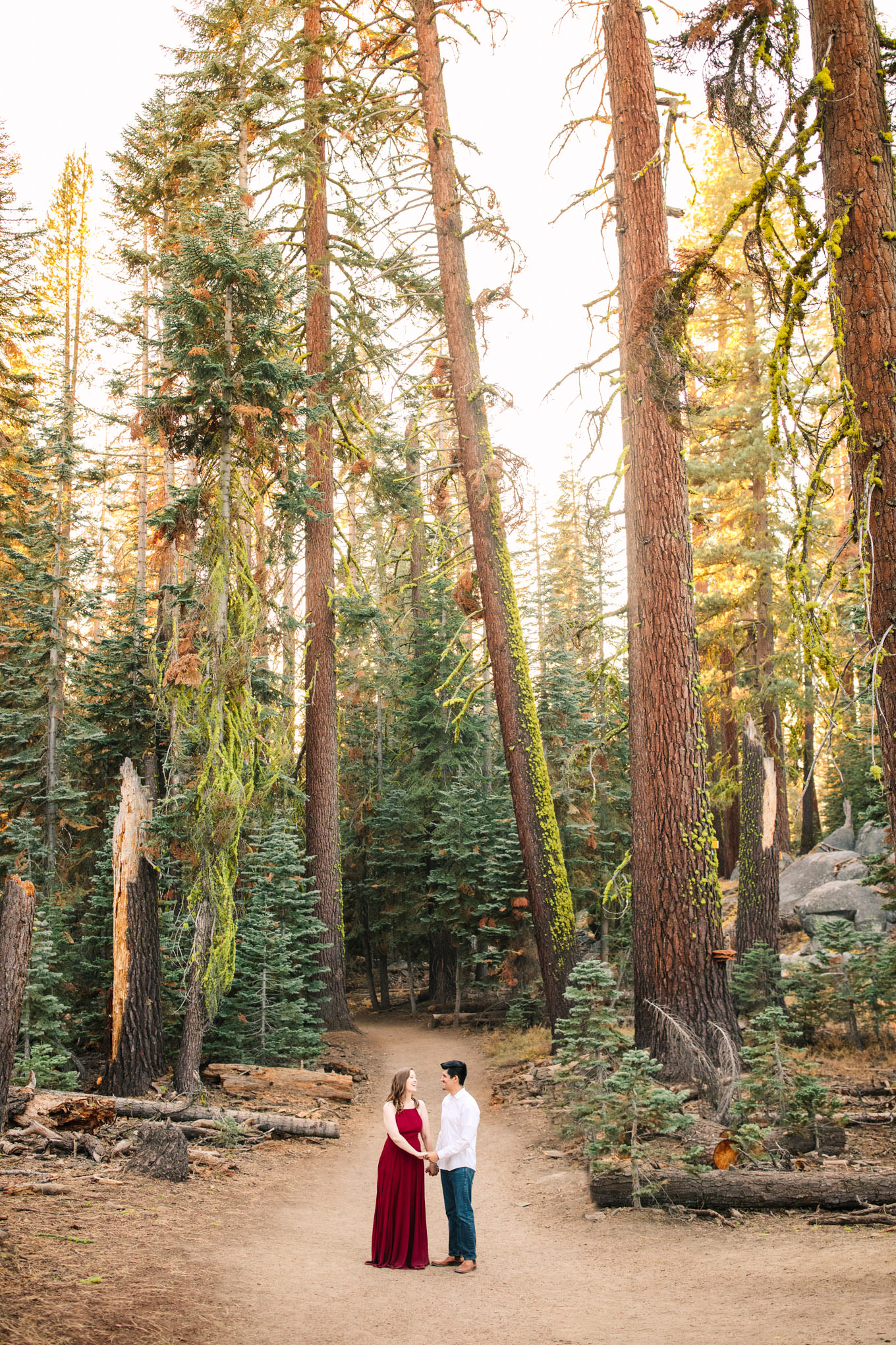 Yosemite National Park forest engagement session Los Angeles Chinatown engagement session | Engagement, elopement, and wedding photography roundup of Mary Costa’s favorite images from 2020 | Colorful and elevated photography for fun-loving couples in Southern California | #2020wedding #elopement #weddingphoto #weddingphotography #microwedding   Source: Mary Costa Photography | Los Angeles