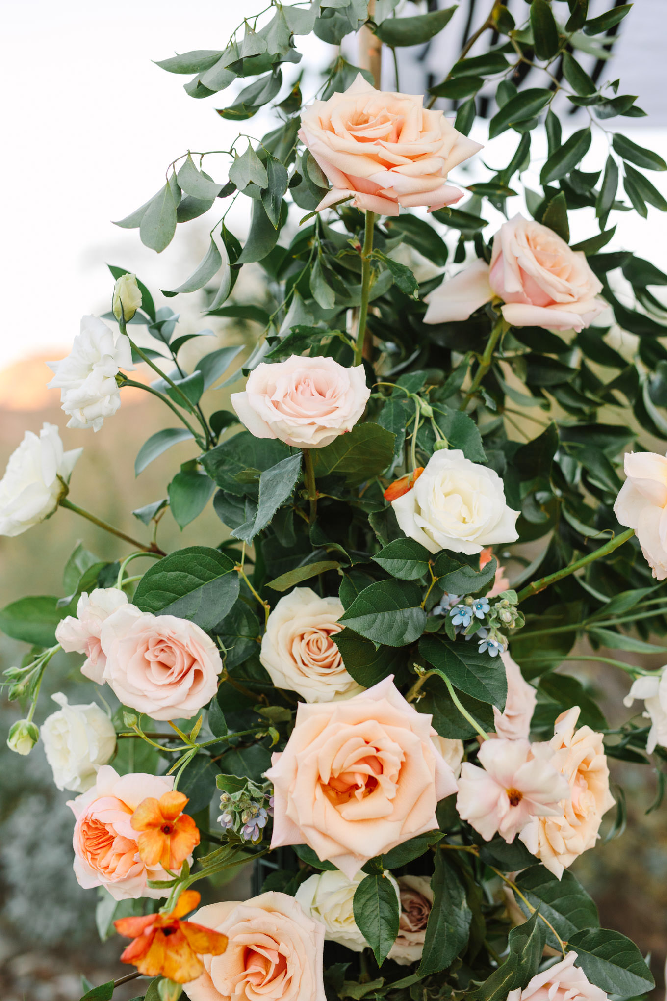 Floral detail at wedding ceremony | Living Desert Zoo & Gardens wedding with unique details | Elevated and colorful wedding photography for fun-loving couples in Southern California |  #PalmSprings #palmspringsphotographer #gardenwedding #palmspringswedding  Source: Mary Costa Photography | Los Angeles wedding photographer 