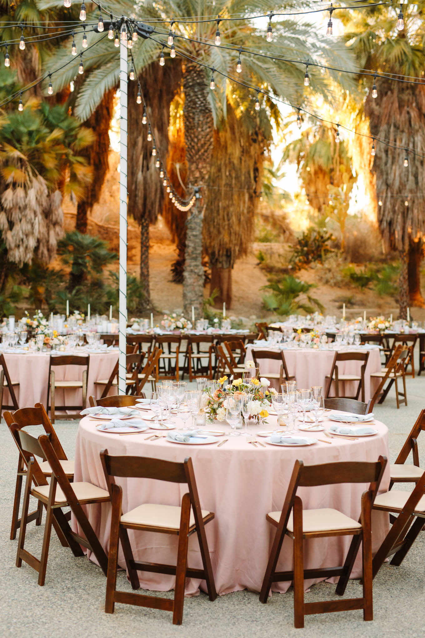 Blush wedding reception in palm garden | Living Desert Zoo & Gardens wedding with unique details | Elevated and colorful wedding photography for fun-loving couples in Southern California |  #PalmSprings #palmspringsphotographer #gardenwedding #palmspringswedding  Source: Mary Costa Photography | Los Angeles wedding photographer 