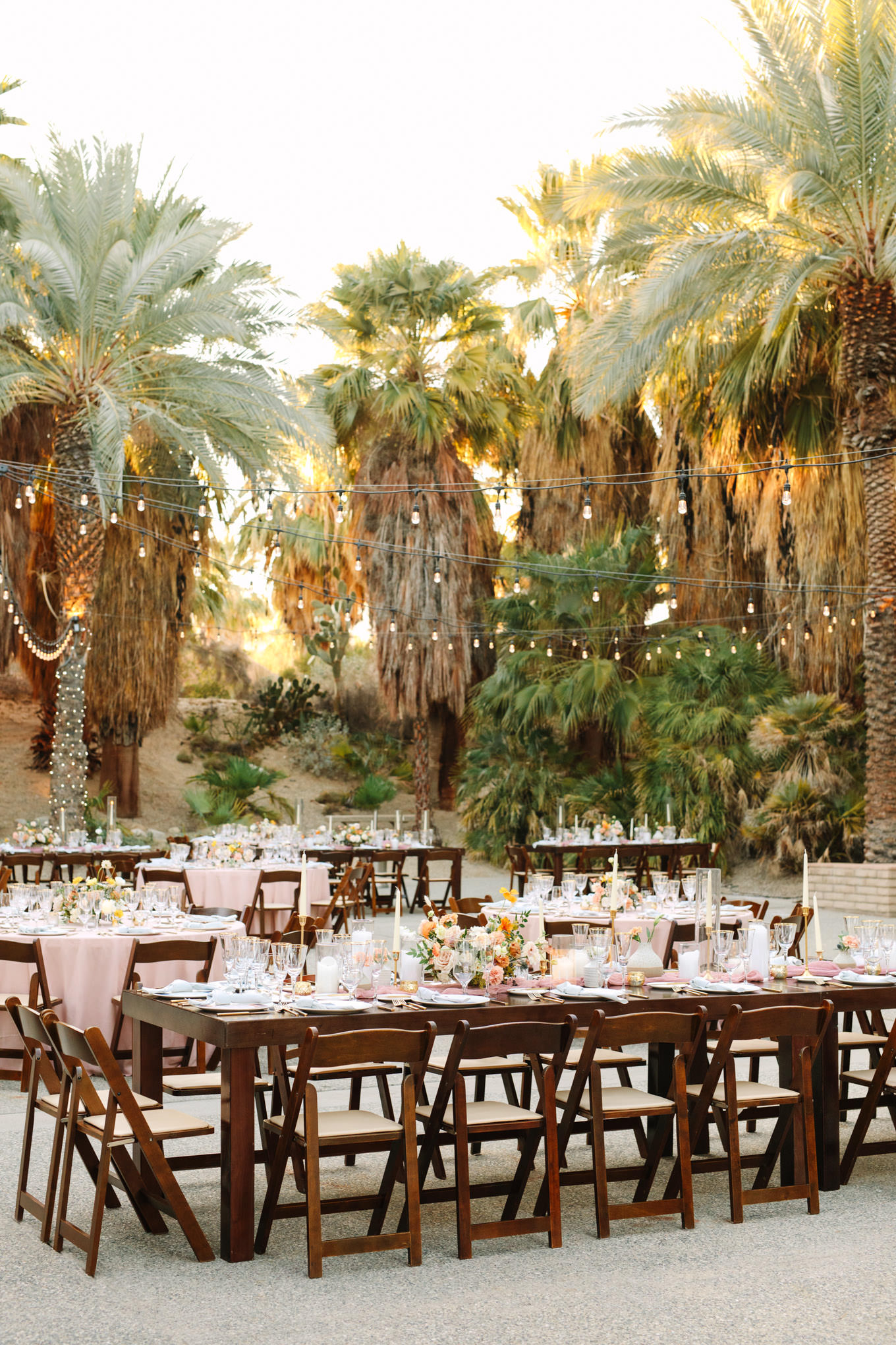 Rectangular table in palm garden | Living Desert Zoo & Gardens wedding with unique details | Elevated and colorful wedding photography for fun-loving couples in Southern California |  #PalmSprings #palmspringsphotographer #gardenwedding #palmspringswedding  Source: Mary Costa Photography | Los Angeles wedding photographer 