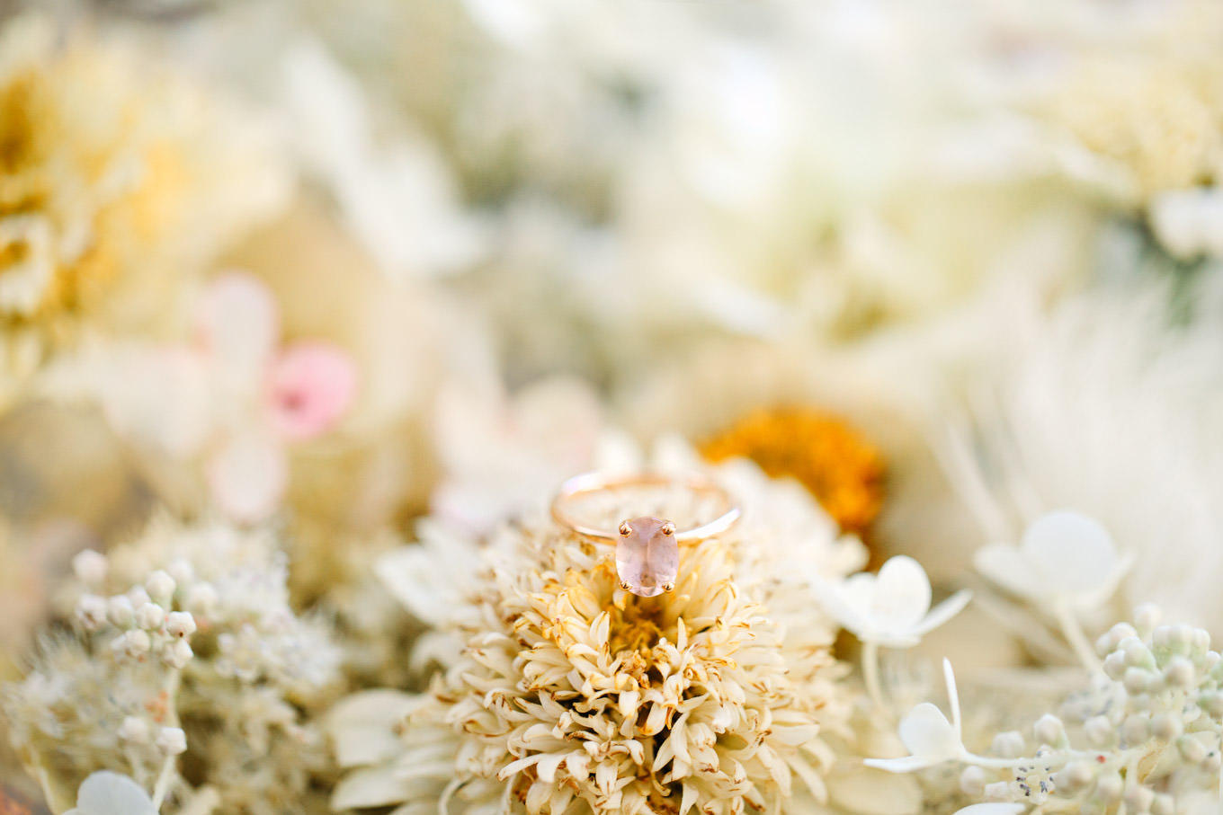 Pink diamond rose gold ring | Los Angeles Arboretum Elopement | Colorful and elevated wedding photography for fun-loving couples in Southern California | #LosAngelesElopement #elopement #LAarboretum #LAskyline #elopementphotos   Source: Mary Costa Photography | Los Angeles