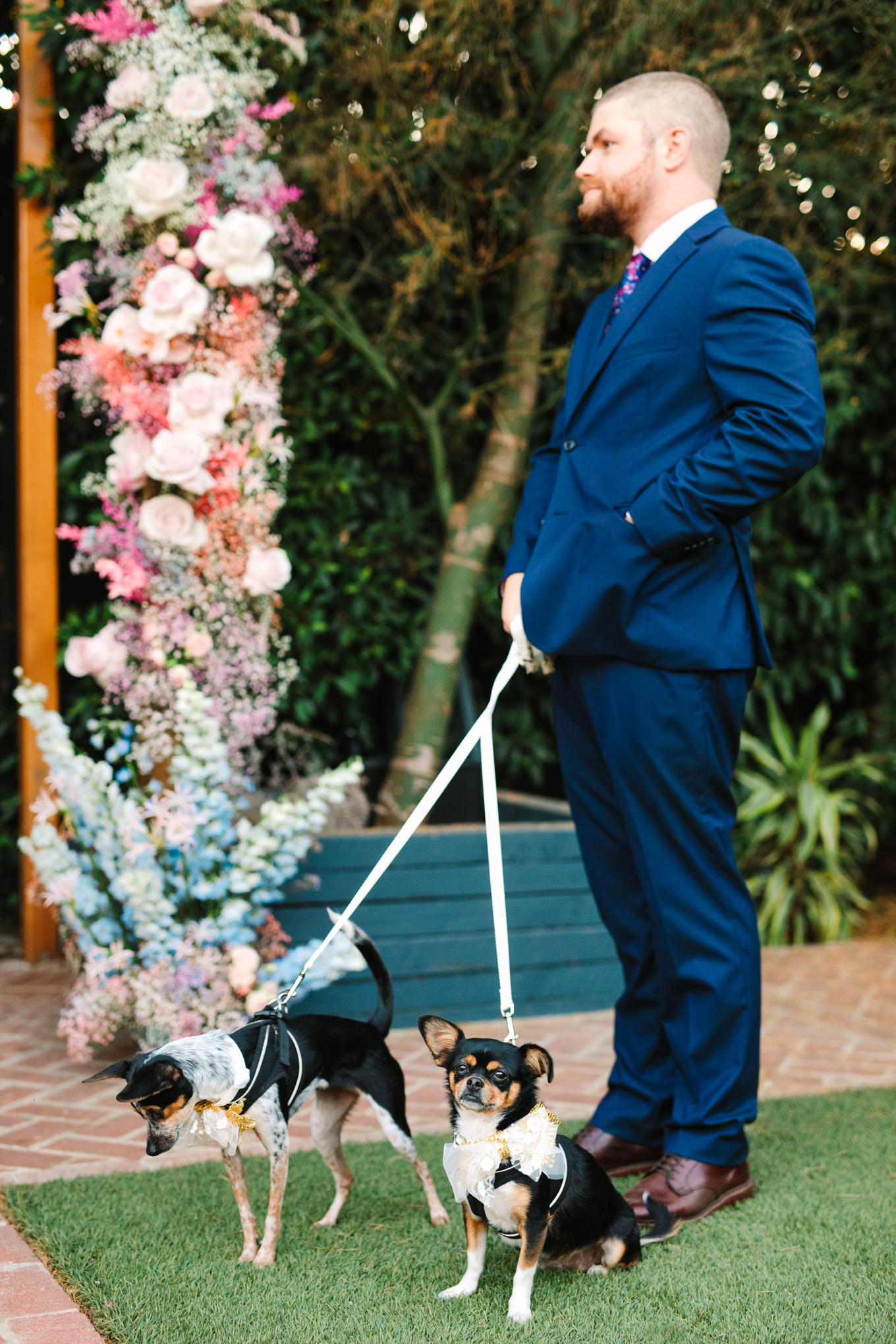 Best man with dogs at wedding ceremony | Colorful pop-up micro wedding at The Ruby Street Los Angeles featured on Green Wedding Shoes | Colorful and elevated photography for fun-loving couples in Southern California | #colorfulwedding #popupwedding #weddingphotography #microwedding Source: Mary Costa Photography | Los Angeles