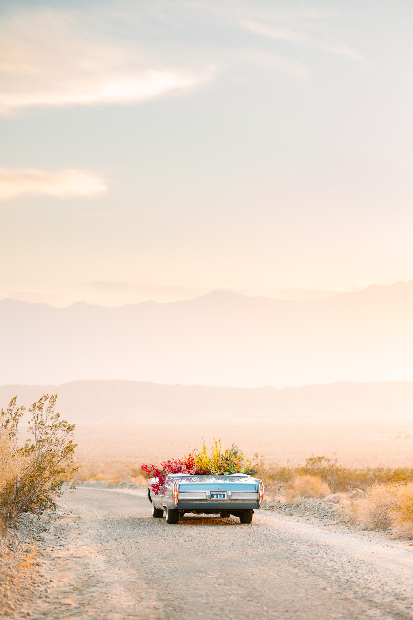 Blue classic Cadillac filled with flowers and disco balls | Kindred Presets x Mary Costa Photography Palm Springs Ad Campaign | Colorful Palm Springs wedding photography | #palmspringsphotographer #lightroompresets #sandshotel #pinkhotel   Source: Mary Costa Photography | Los Angeles