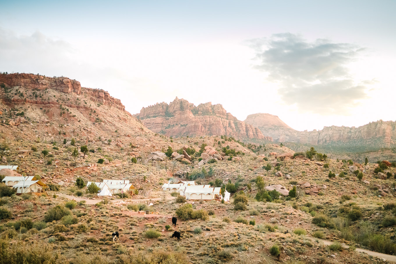 Under Canvas view | Zion Under Canvas Elopement at Sunrise | Colorful adventure elopement photography | #utahelopement #zionelopement #zionwedding #undercanvaszion #sunriseelopement  Source: Mary Costa Photography | Los Angeles