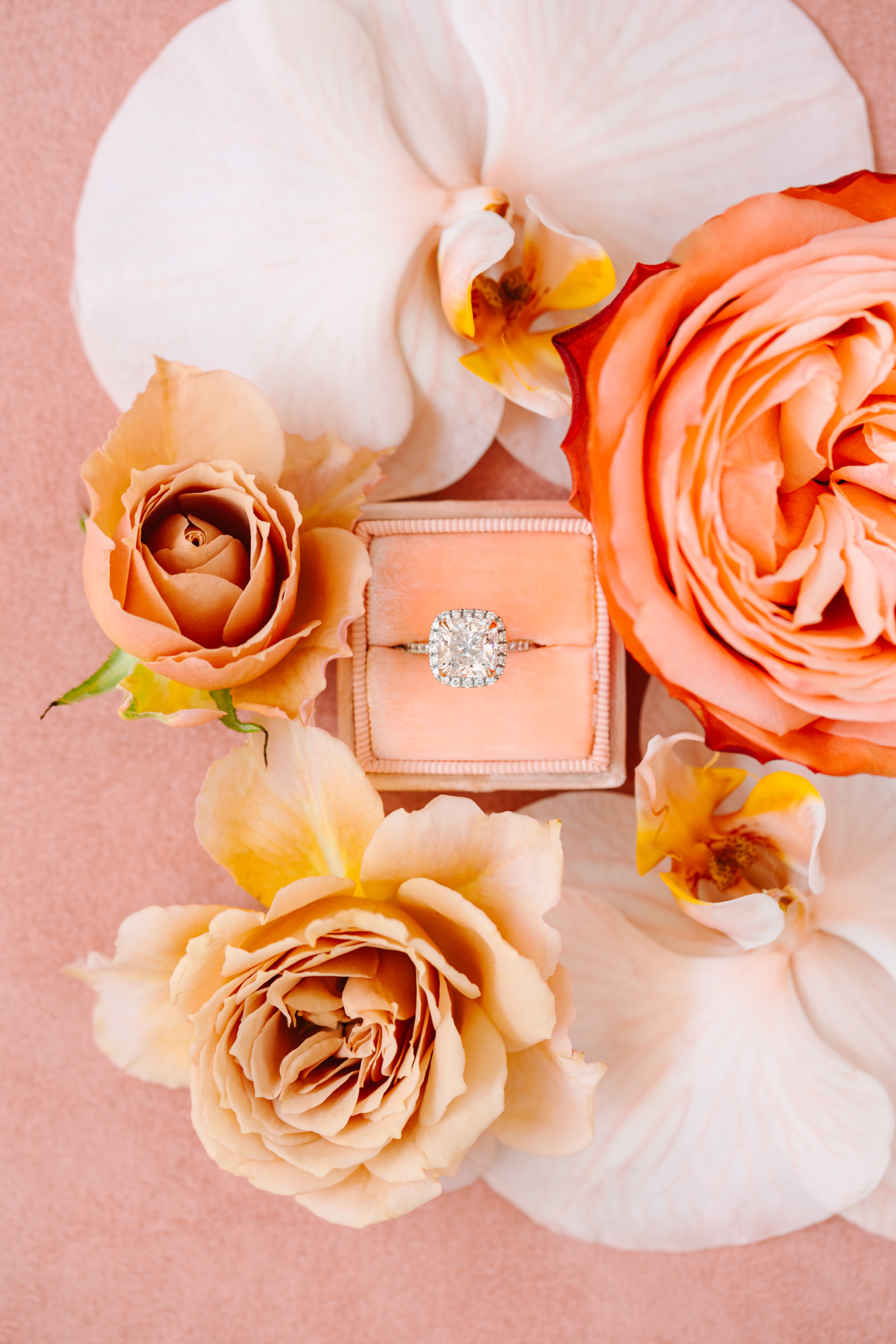 Engagement ring surrounded by peach, pink, and orange flowers | Pink and orange Lautner Compound wedding | Colorful Palm Springs wedding photography | #palmspringsphotographer #palmspringswedding #lautnercompound #southerncaliforniawedding  Source: Mary Costa Photography | Los Angeles