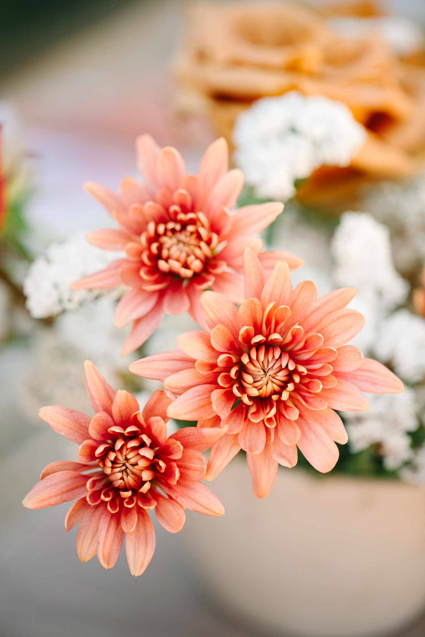 Flower close up | Pink and orange Lautner Compound wedding | Colorful Palm Springs wedding photography | #palmspringsphotographer #palmspringswedding #lautnercompound #southerncaliforniawedding  Source: Mary Costa Photography | Los Angeles