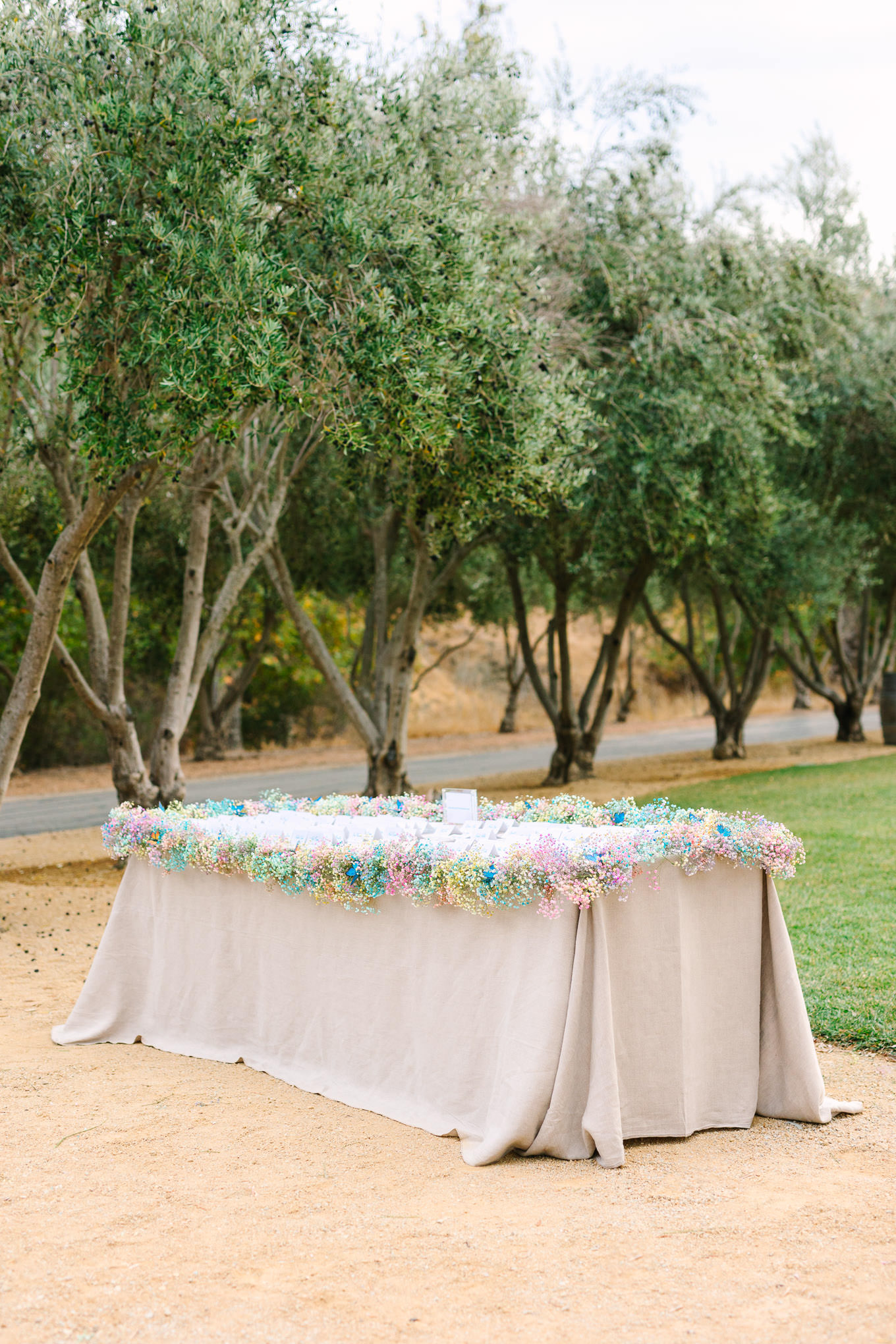 Guest name cards | Colorful and quirky wedding at Higuera Ranch in San Luis Obispo | #sanluisobispowedding #californiawedding #higueraranch #madonnainn   Source: Mary Costa Photography | Los Angeles