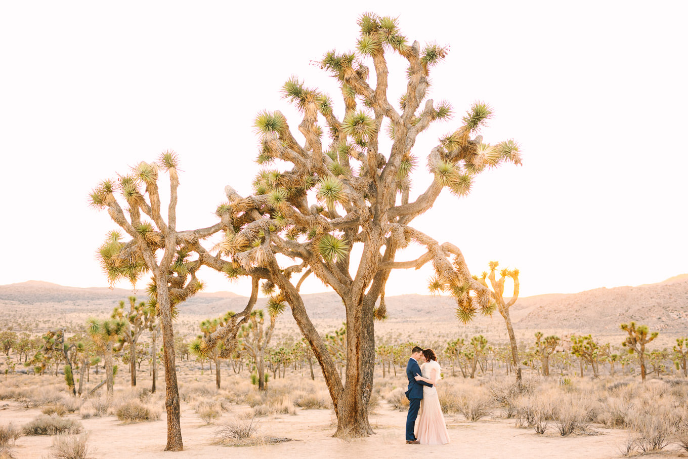 Joshua Tree elopement | Wedding and elopement photography roundup | Los Angeles and Palm Springs photographer | #losangeleswedding #palmspringswedding #elopementphotographer Source: Mary Costa Photography | Los Angeles