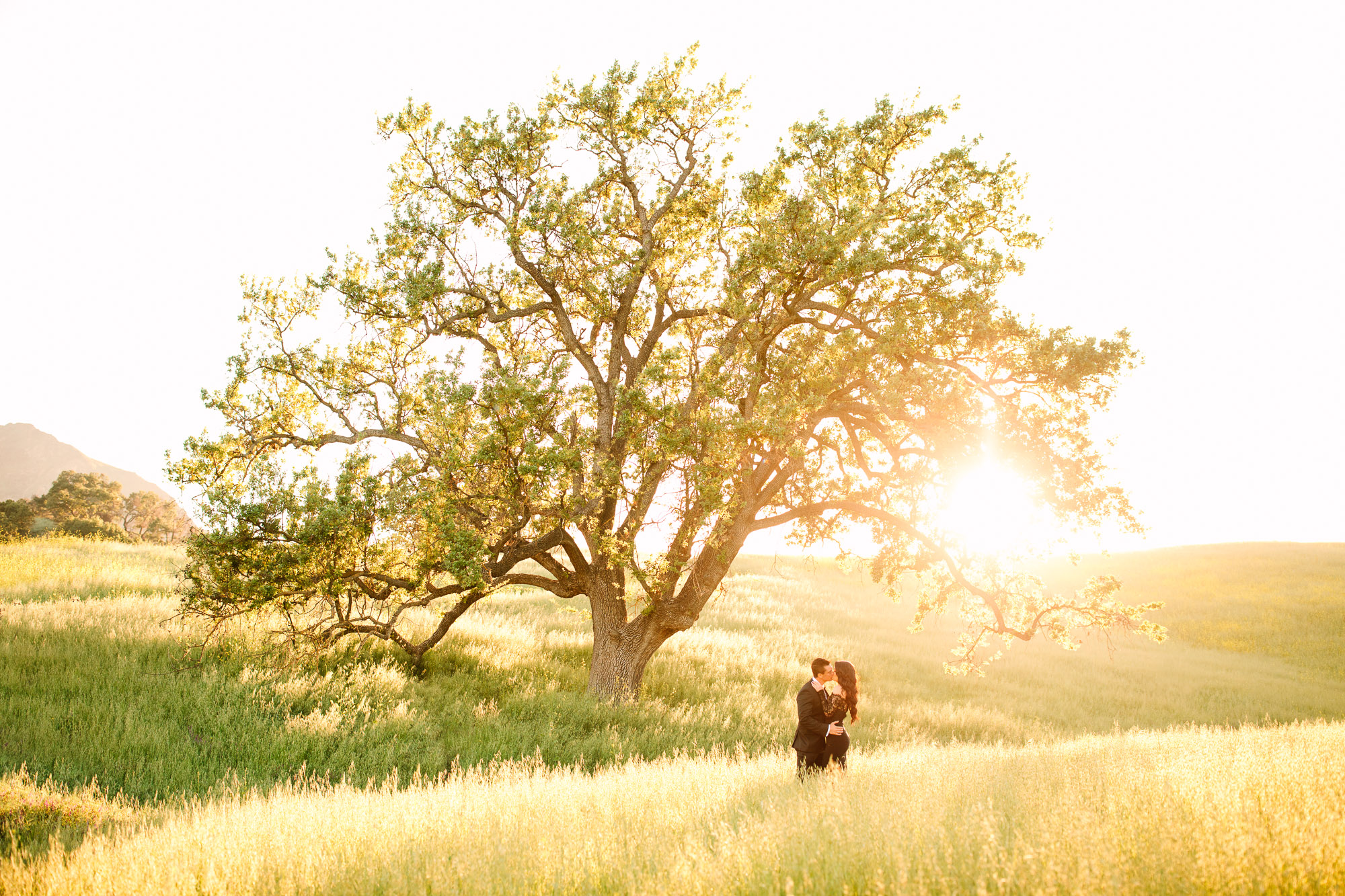 Couple with big tree during sunset by Mary Costa Photography