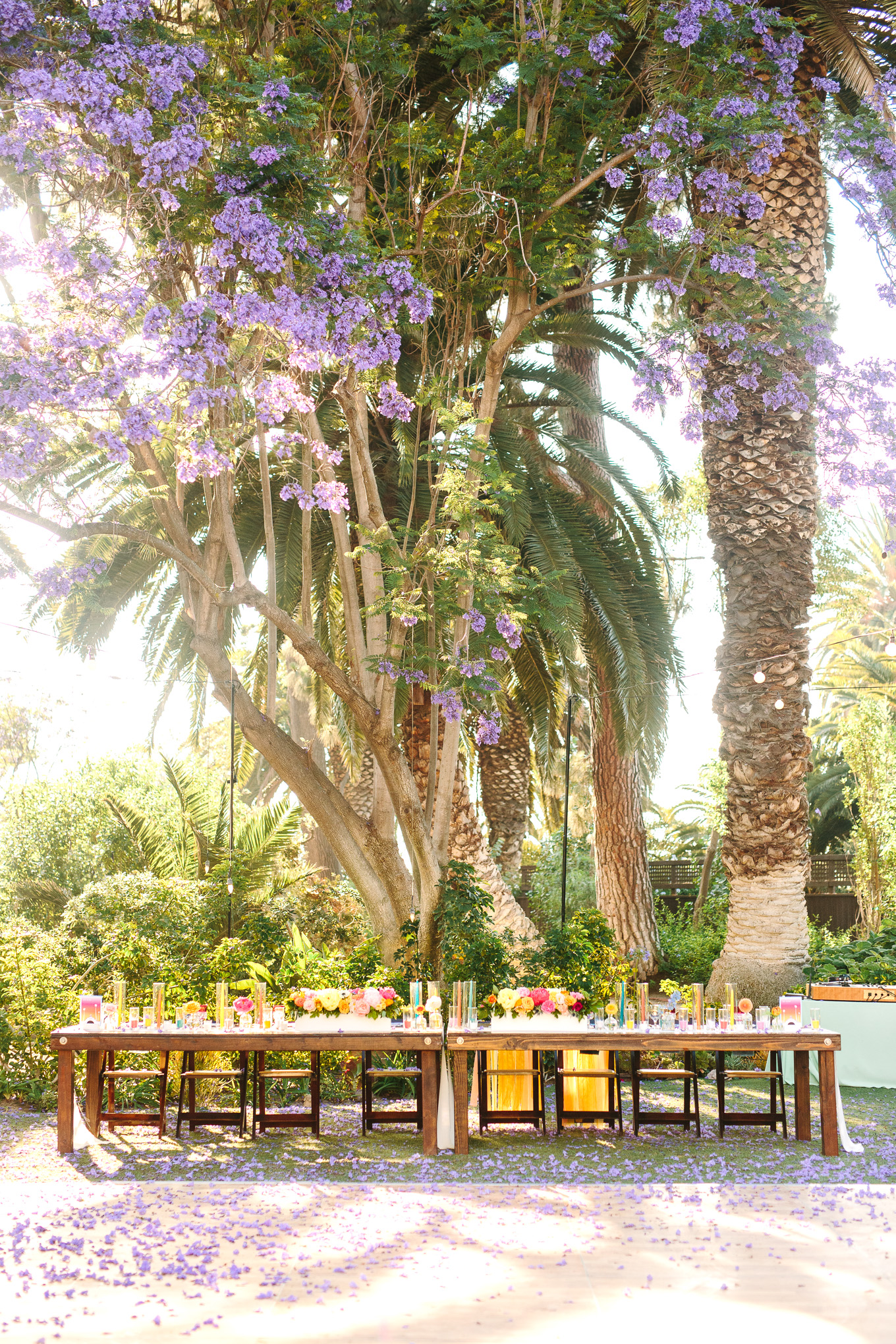 Colorful head table and blooming jacaranda trees at McCormick Home Ranch wedding | Best Southern California Garden Wedding Venues | Colorful and elevated wedding photography for fun-loving couples | #gardenvenue #weddingvenue #socalweddingvenue #bouquetideas #uniquebouquet   Source: Mary Costa Photography | Los Angeles 