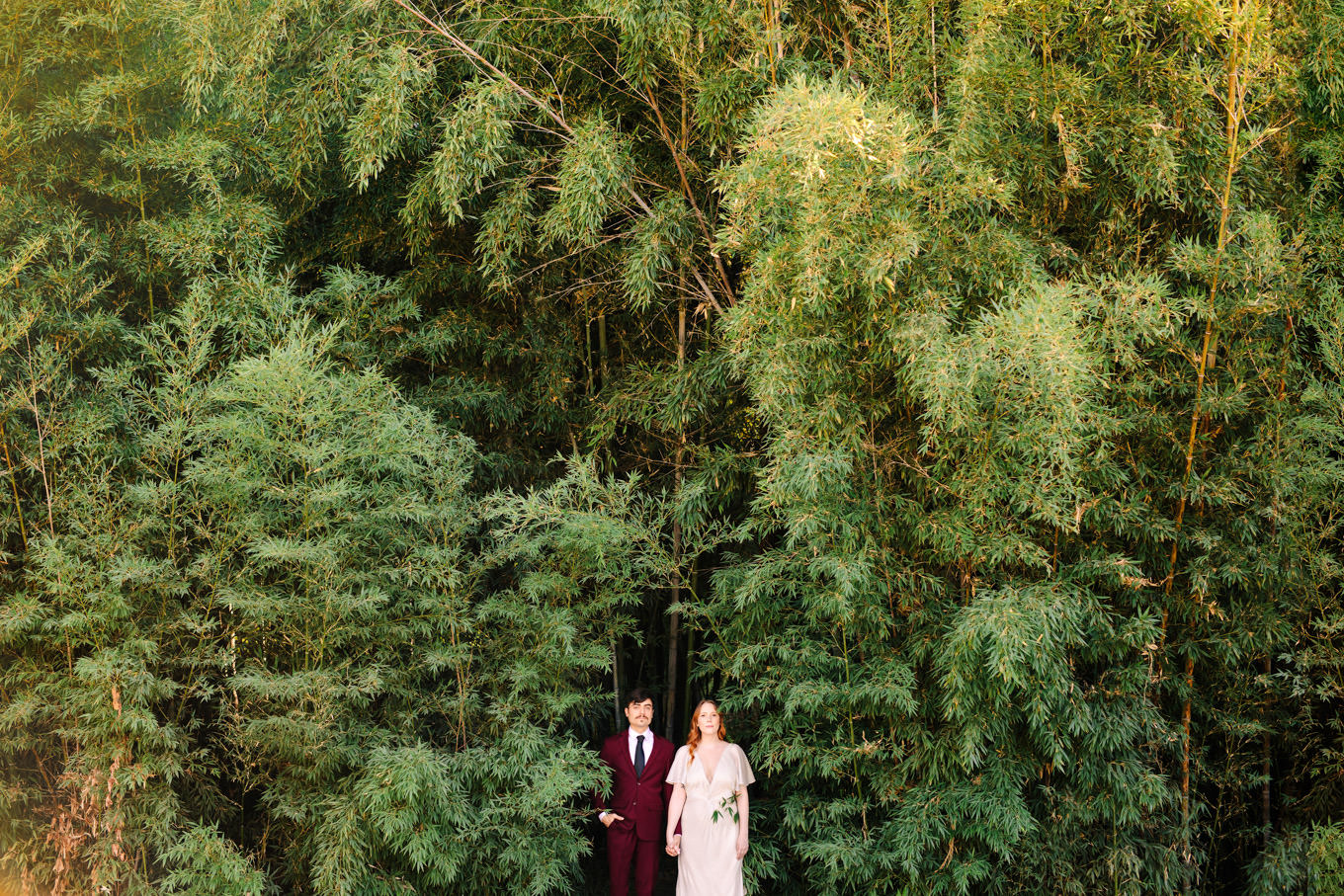 Los Angeles Arboretum elopement among bamboo trees | Engagement, elopement, and wedding photography roundup of Mary Costa’s favorite images from 2020 | Colorful and elevated photography for fun-loving couples in Southern California | #2020wedding #elopement #weddingphoto #weddingphotography #microwedding   Source: Mary Costa Photography | Los Angeles