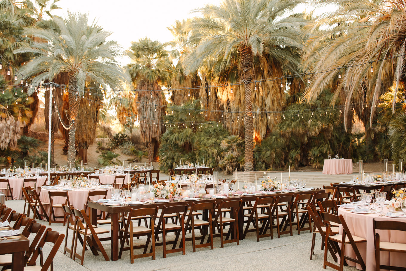 Wedding reception in palm garden | Living Desert Zoo & Gardens wedding with unique details | Elevated and colorful wedding photography for fun-loving couples in Southern California |  #PalmSprings #palmspringsphotographer #gardenwedding #palmspringswedding  Source: Mary Costa Photography | Los Angeles wedding photographer 