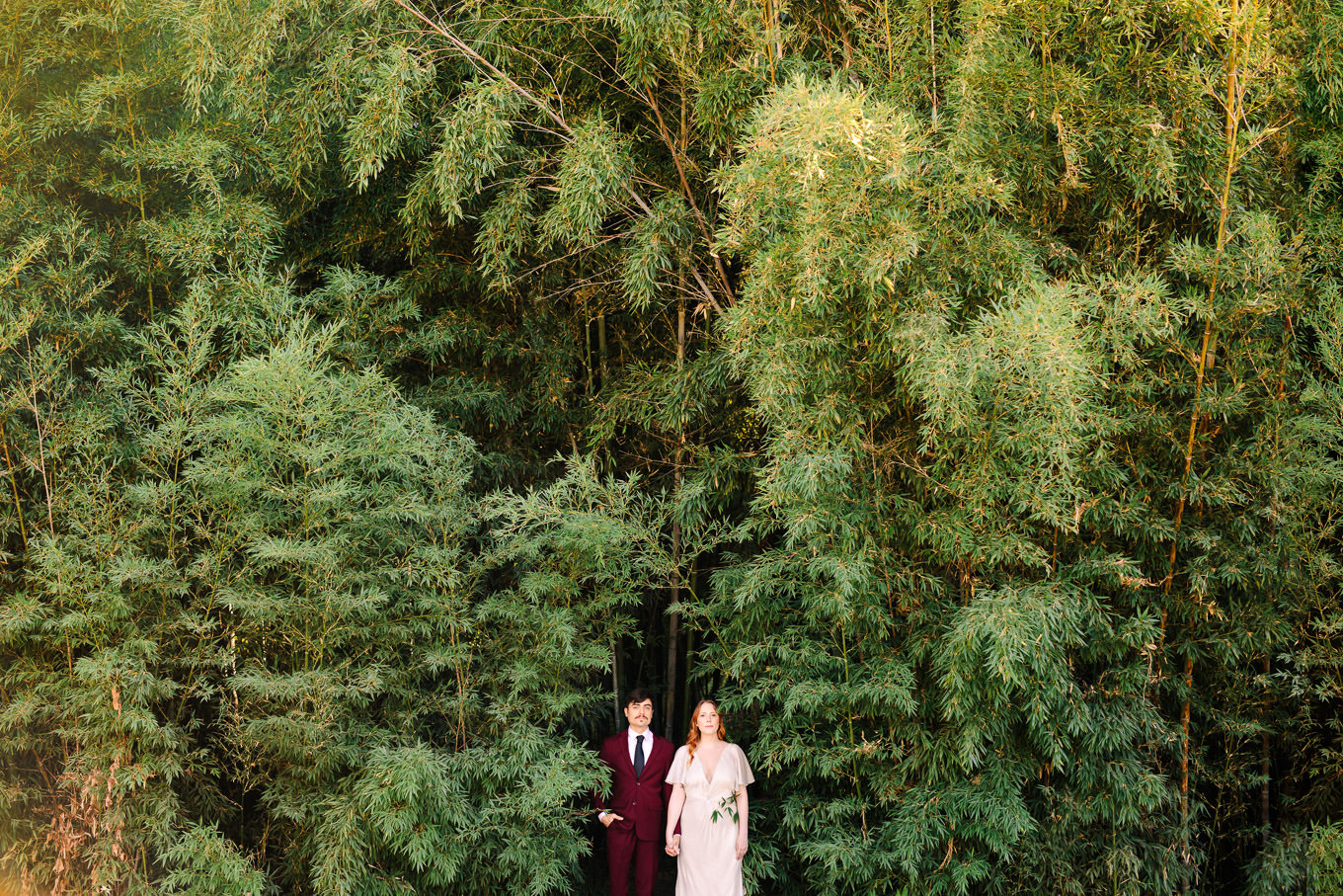 Wide shot of couple in bamboo forest | Los Angeles Arboretum Elopement | Colorful and elevated wedding photography for fun-loving couples in Southern California | #LosAngelesElopement #elopement #LAarboretum #LAskyline #elopementphotos   Source: Mary Costa Photography | Los Angeles