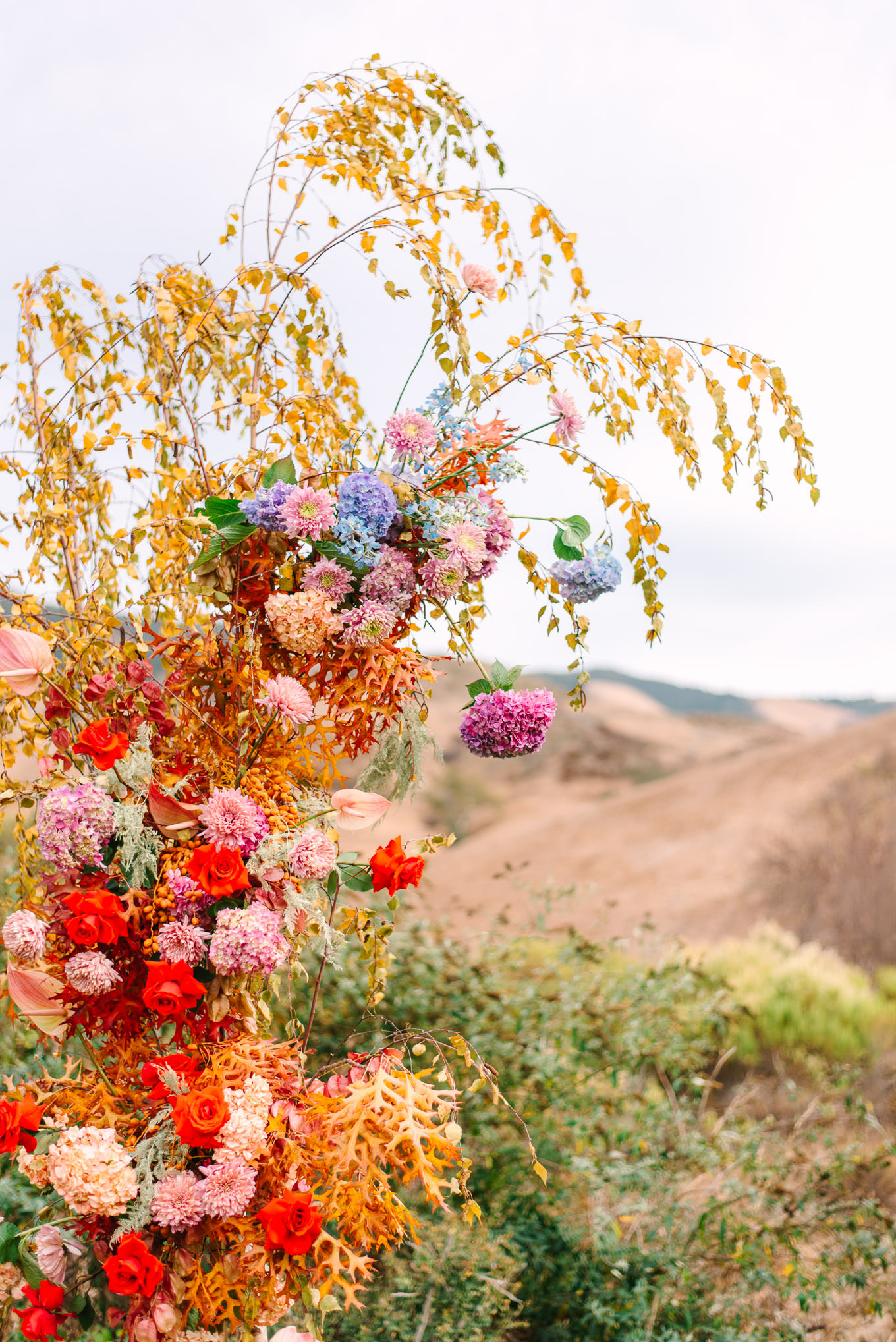 Vibrant floral arches for wedding ceremony | Colorful and quirky wedding at Higuera Ranch in San Luis Obispo | #sanluisobispowedding #californiawedding #higueraranch #madonnainn   
Source: Mary Costa Photography | Los Angeles
